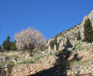 Delphi