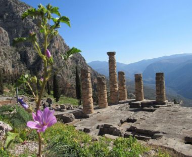 Delphi